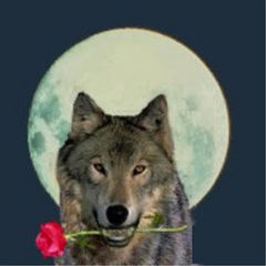 Immagine profilo di wolf_1968